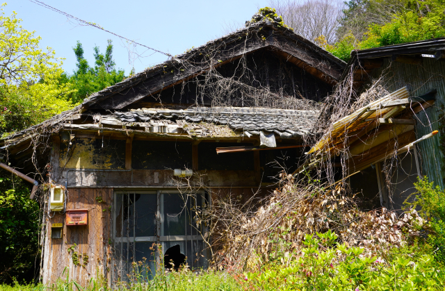 住宅の解体・空き家の解体の画像