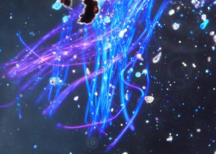 アスベスト分析についての画像