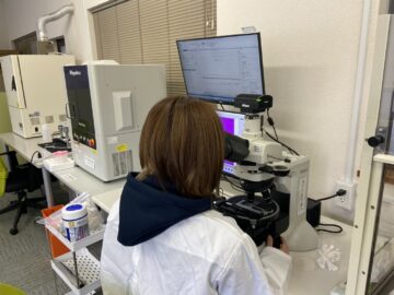 アスベスト分析